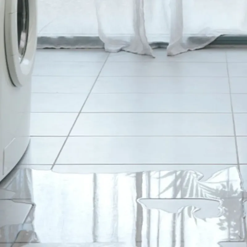 Appliance Leak Cleanup in Gloucester, MA
